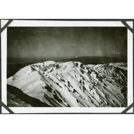 Beehives & Dress Circle from Hector