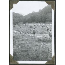 Flats above the Gorge