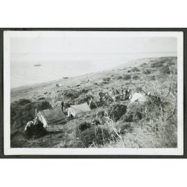 Main campsite (Kapiti Island)