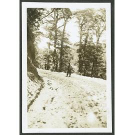 The road from the Chateau to Salt Hut