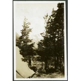 View of Mt. Carrington from base camp