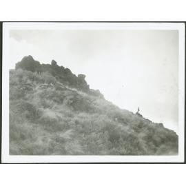 On the track to Silica Springs - National Park