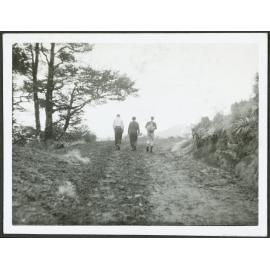 On the way to Taranaki Falls, National Park