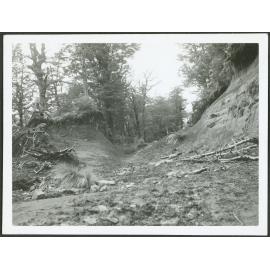The track to Taranaki Falls
