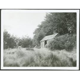 The Haunted Whare. [Tongariro National Park.]