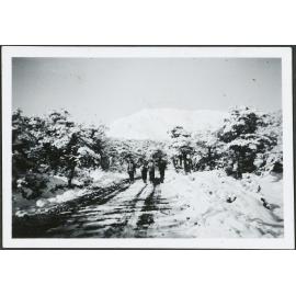 The road just above the Chateau with Ruapehu in the background