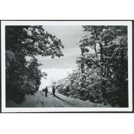 Ruapehu from the road