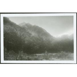 [Image of forest and mountains.]