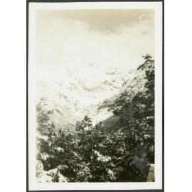 Looking up the Bealy Glacier to Mt. Rolleston