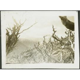Mt. Hector from near summit of Mt. Marchant. May 1945