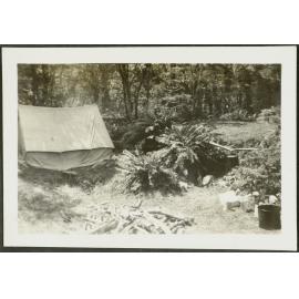 DIVERSE CAMPS: Newland, under Kuri