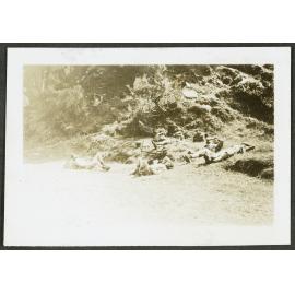 DIVERSE RESTS: Lunchtime siesta. Top Forks