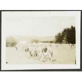 [Image of a large group of people walking through a paddock.]