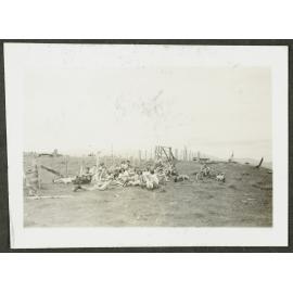 [Image of a group of people sitting in a paddock.]