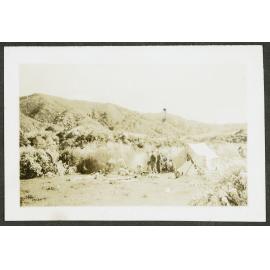 Camp Site, Akatarawa Reunion Nov. 1945