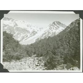 Looking up Anti-Crow