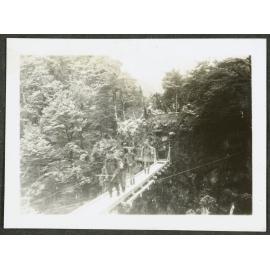 Bridge over chasm, Rangiwahia track
