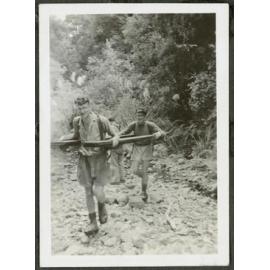 More timber - Bill Cameron, Peter Jenkins