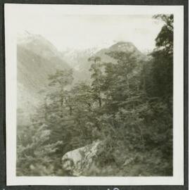 View north halfway up ridge of Faerie Queen