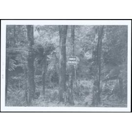 V.U.W. Tramping Club working party 5-7 May 1967. Bush approaches to "A.D."[Aloway-Dickson] hut