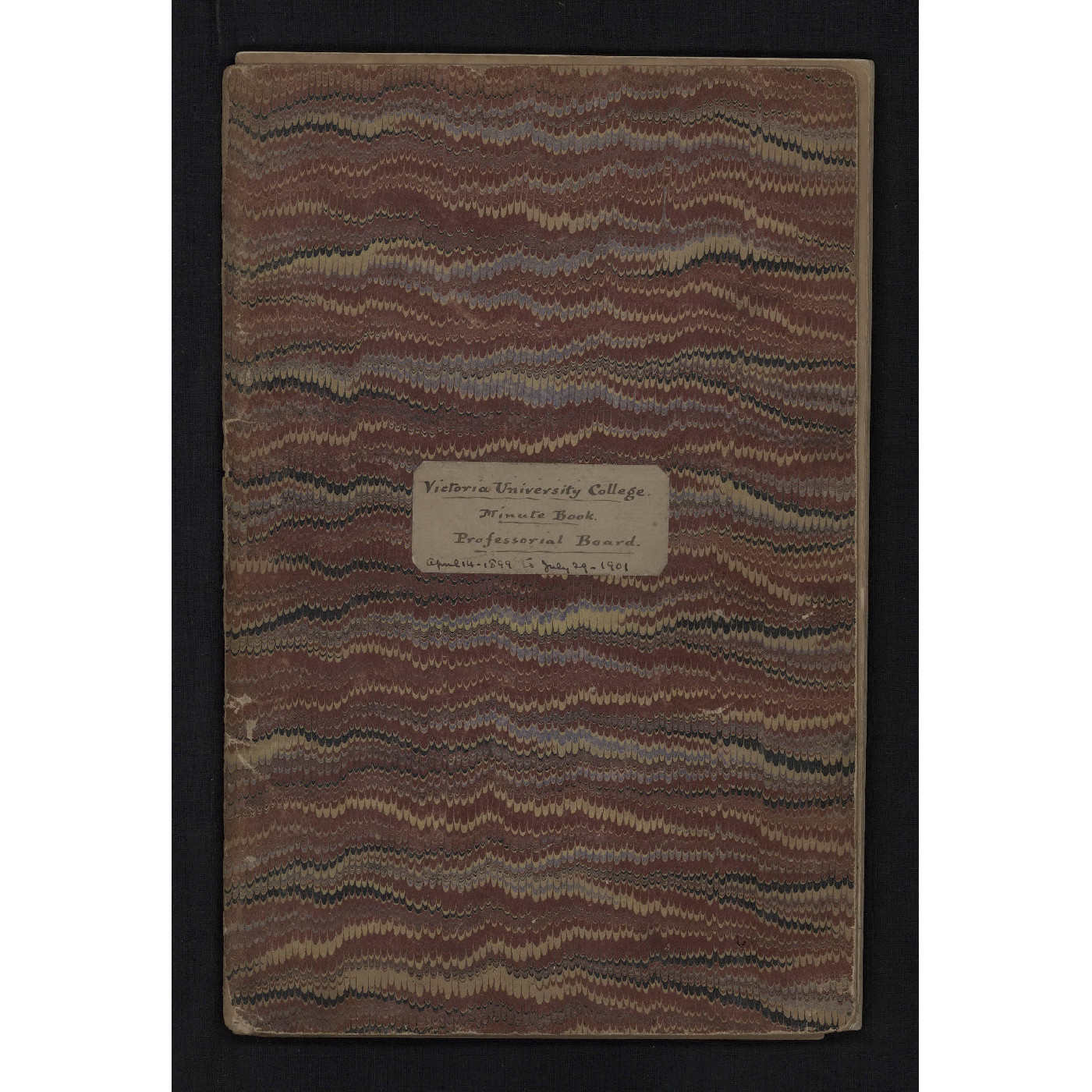 Professorial Board Minutes