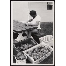 Malcolm Haddon measures crabs caught in Nelson