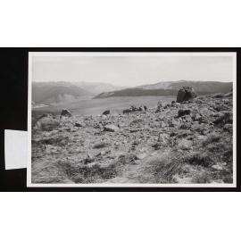 Red Hills, Marlborough