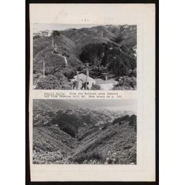 Two different angles of Polhill Gully
