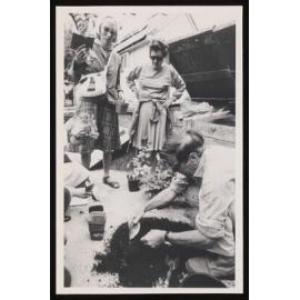 People gardening during the  'Spring into Summer' programme 1983