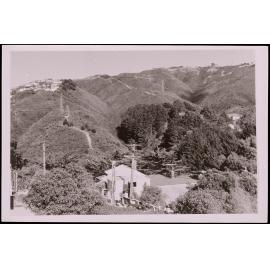 Polhill Gully from the Kelburn area 