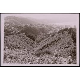 Polhill Gully from Hawkins Hill Rd