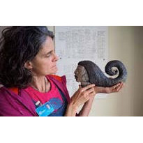 Interview with Tiziana Manea