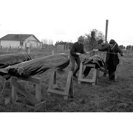 Protecting tekoteko from the rain at Pāpāwai marae