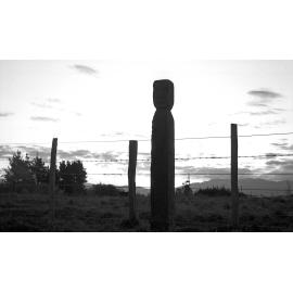 Pou at Pāpāwai marae