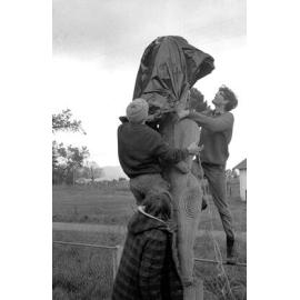 Students covering a tekoteko at Pāpāwai marae