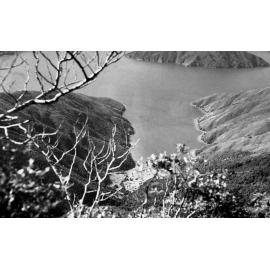 View down to Curious Cove, Marlborough Sounds