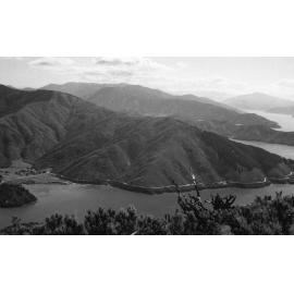 Bays surrounding Curious Cove, Marlborough Sounds