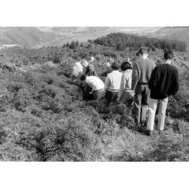Students walking down hill on Botany field trip 