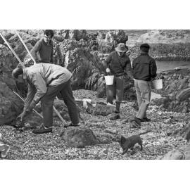 Students on Marine Ecology trip on Wellington South Coast