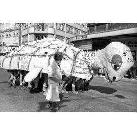 Students in a tortoise costume at the annual student procession